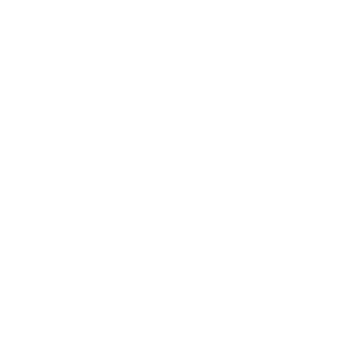 Lift Coréen | Anti Ride | Lift Fil de Soie Collagène 